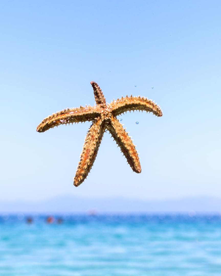 Yetişkin plajında gün batımı