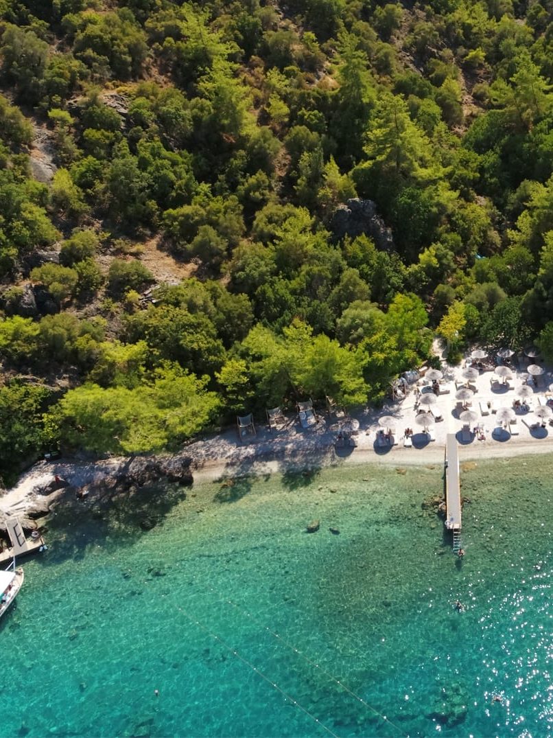 Koyda mutlu bir tatil anı